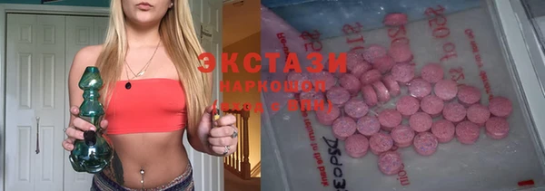 ECSTASY Лагань