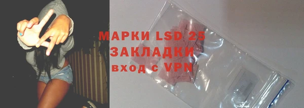 ECSTASY Лагань