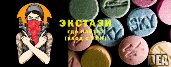 ECSTASY Лагань